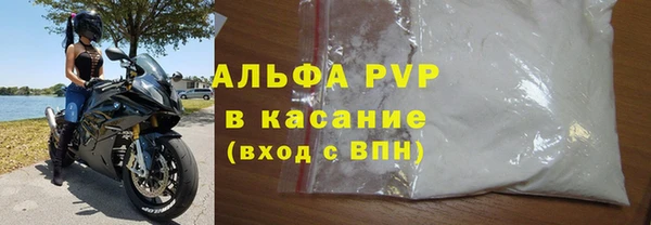 гашик Алексин