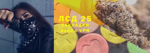 прущие грибы Алзамай