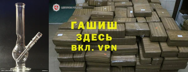 гашик Алексин