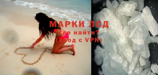 прущие грибы Алзамай