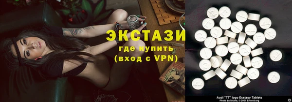 гашик Алексин