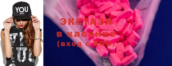 гашик Алексин