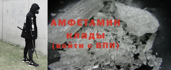 прущие грибы Алзамай