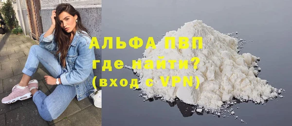 гашик Алексин