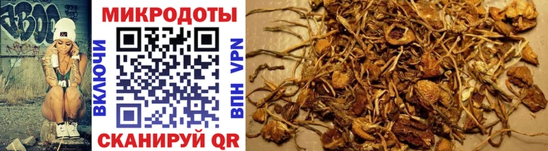 где продают наркотики Энгельс blacksprut Псилоцибиновые грибы ЛСД