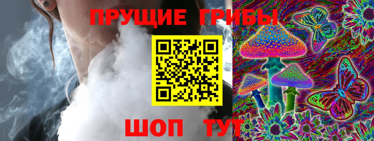 Галлюциногенные грибы Psilocybe Энгельс