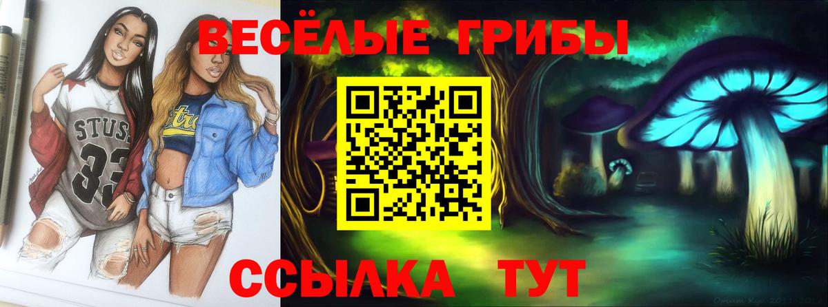 Энгельс  Галлюциногенные грибы Psilocybine cubensis  купить  цена  Вход с VPN 